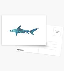 Shark Postcards