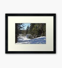 Only River Framed Print