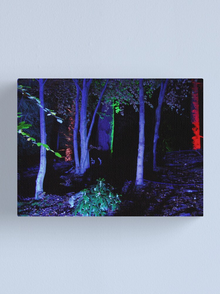 Alternate view of The Enchanted Forest Canvas Print
