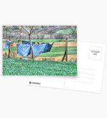 Wash Day Postcards