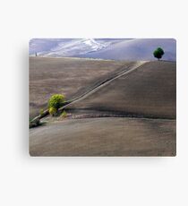 Valley south of Pienza, Tuscany,Italy Canvas Print