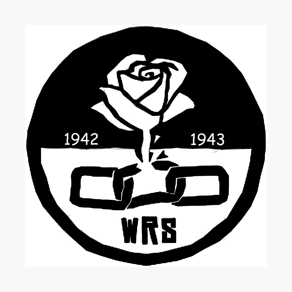 "Weiße Rose Gesellschaft" Fotodruck von themielkman Redbubble