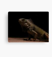 Prediction Canvas Print