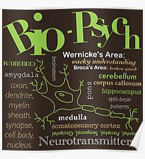 AP Psychologie - Bio-Psych Poster