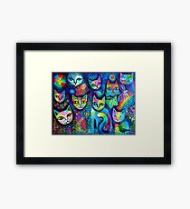 Magicats Framed Print