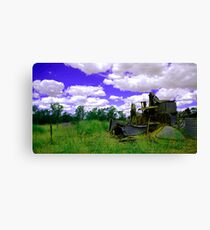 Fantasy, Rural NSW, Australia Canvas Print
