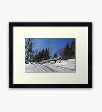 "Tracking" River Framed Print
