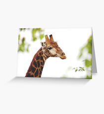 THE MATURED GIRAFFE Greeting Card