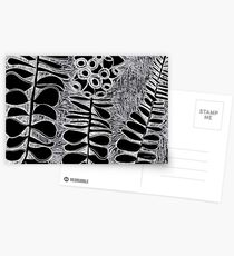 Eucalyptus Kruseanea - Black and White Postcards