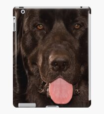 Ruh Roh iPad Case/Skin