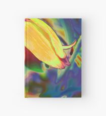 Funky is Fun Hardcover Journal