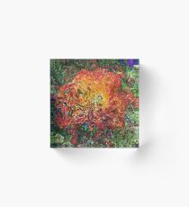Banksia Abstract Acrylic Block