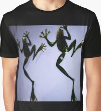 Frog plaques on wall of gift shop Graphic T-Shirt