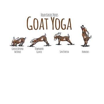 What to expect as Goat Yoga finally comes to Brooklyn – Metro US