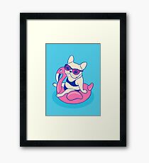 Frenchie enjoys Summer on Flamingo Pool Float in swimming pool Framed Print