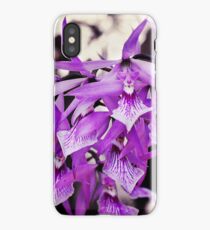 Violet Orchids iPhone Case
