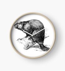 Reloj Castor