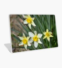 Daffodils Laptop Skin