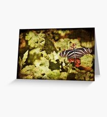 Dark View of Butterfly Greeting Card