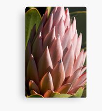 Crown Metal Print