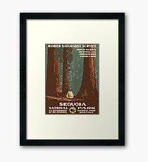 Sequoia National Park Vintage Travel Poster Framed Print