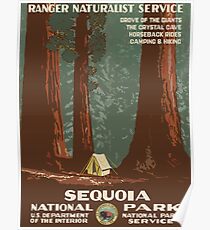 Sequoia National Park Vintage Travel Poster Poster