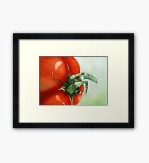 tomato Framed Print