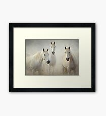 0129 Three whites - Reworked Framed Print