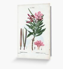 Traité des Arbres et Arbustes 0295 Nerium oleander Nerion laurier rose Greeting Card