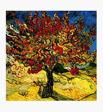 Van Gogh Mulberry Tree Photographic Print
