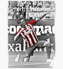 Póster Fernando Torres arquero
