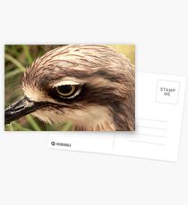 Eyelashes Postcards