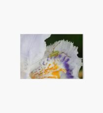 Cute little bug on an iris Art Board Print