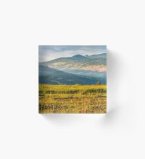 agricultural field in mountains Acrylic Block