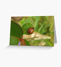 Long Way Down.... Greeting Card