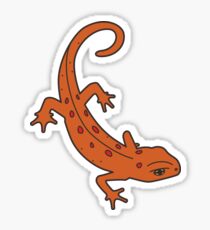 Eastern Red-Spotted Newt Sticker