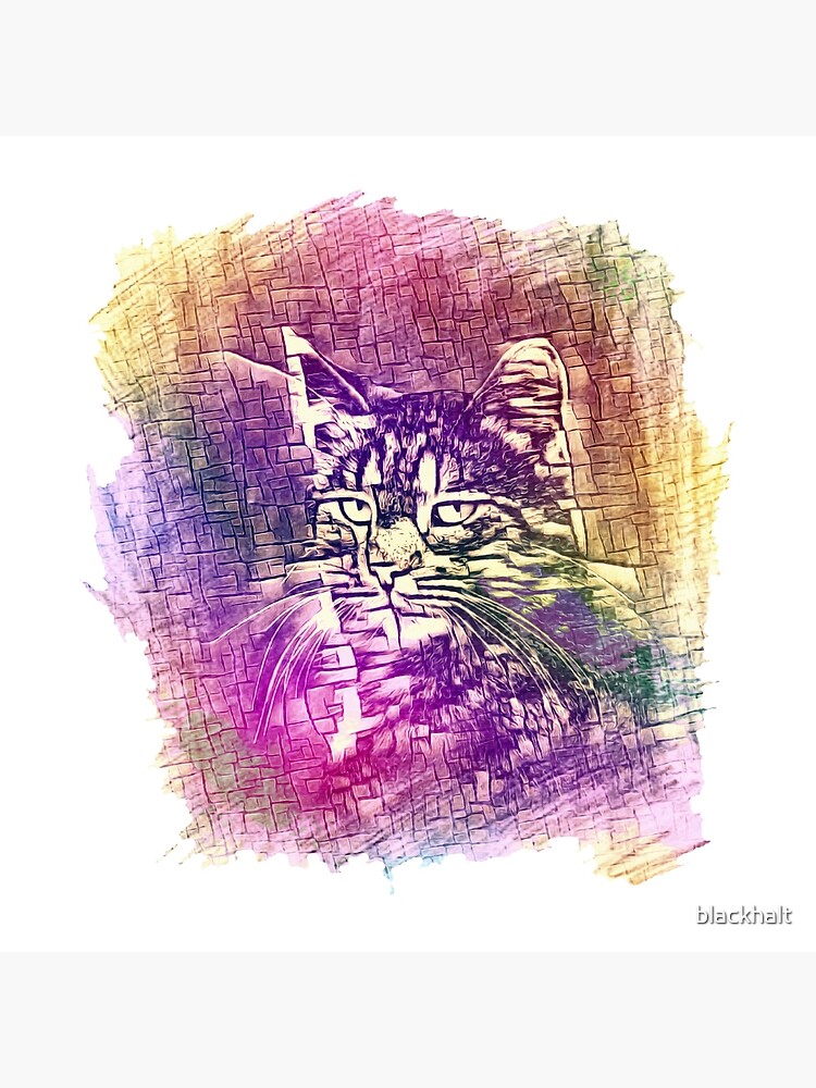 Cat by blackhalt