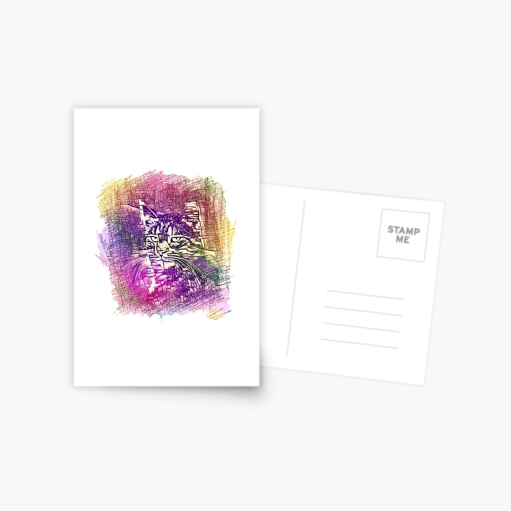 Cat Postcard