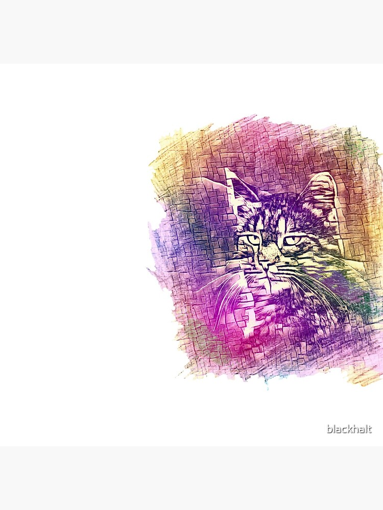 Cat by blackhalt