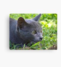 Hunting Canvas Print