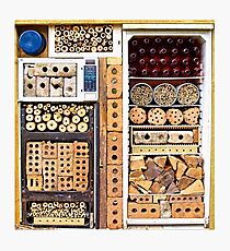 Bee Hotel Photographic Print