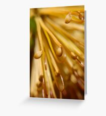 Flower Macro Greeting Card