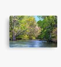 Chassahowitzka River Canvas Print