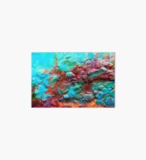 Fantasea Art Board