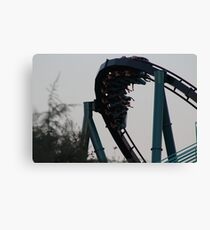 Mako at Seaworld Orlando Canvas Print