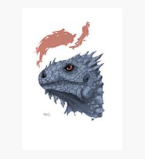St. George's Dragon Photographic Print