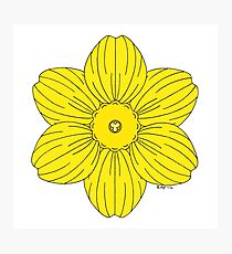 Heraldic Daffodil Photographic Print