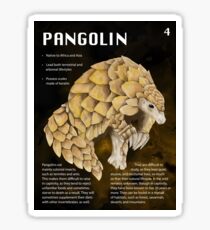 Pangolin Educational Print Sticker