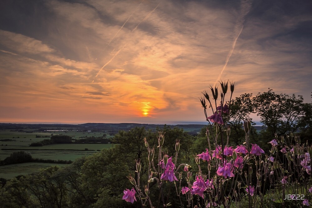"Sunset flowers" by JEZ22 | Redbubble