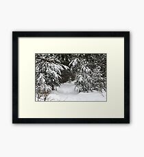 Enough Snow Yet? :) Framed Print